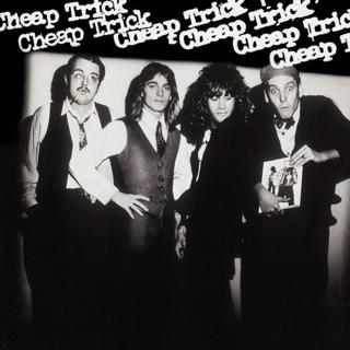 Release cover